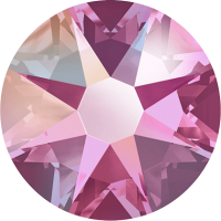 20ss Rose AB Maxima