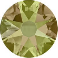 16ss Luminous Green 2088 16ss Luminous Green 2088