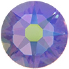 16ss Paradise Shine 2088